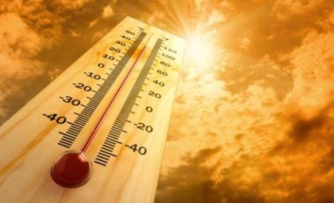 Produse naturale care ne protejează pielea de radiațiile solare