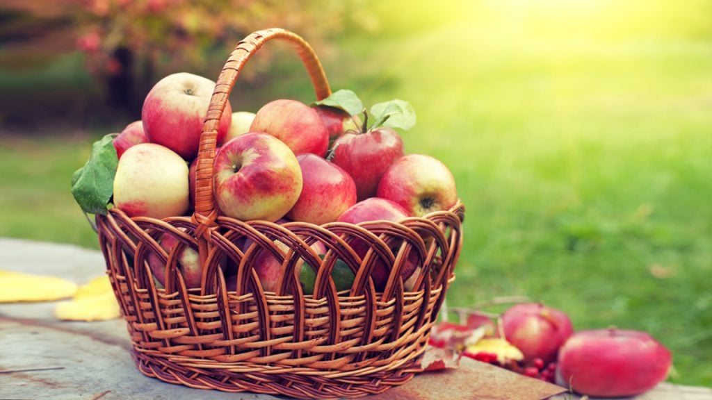 Importanța merelor pentru alimentație, fructele-vedetă ale toamnei