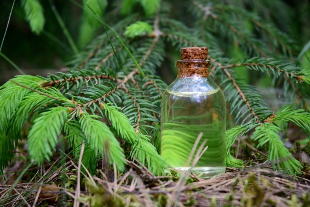 Tipuri de siropuri naturale pentru respirație sănătoasă
