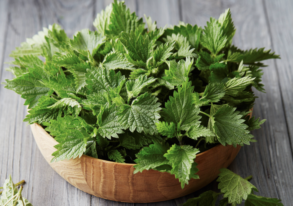 REȚETA SĂNĂTOASĂ  Cum prepari cea mai sănătoasă ciulama de urzici