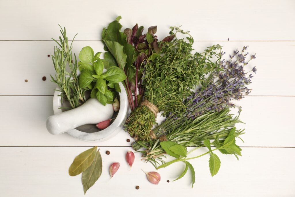 Ierburile aromatice, aliați ai sănătății