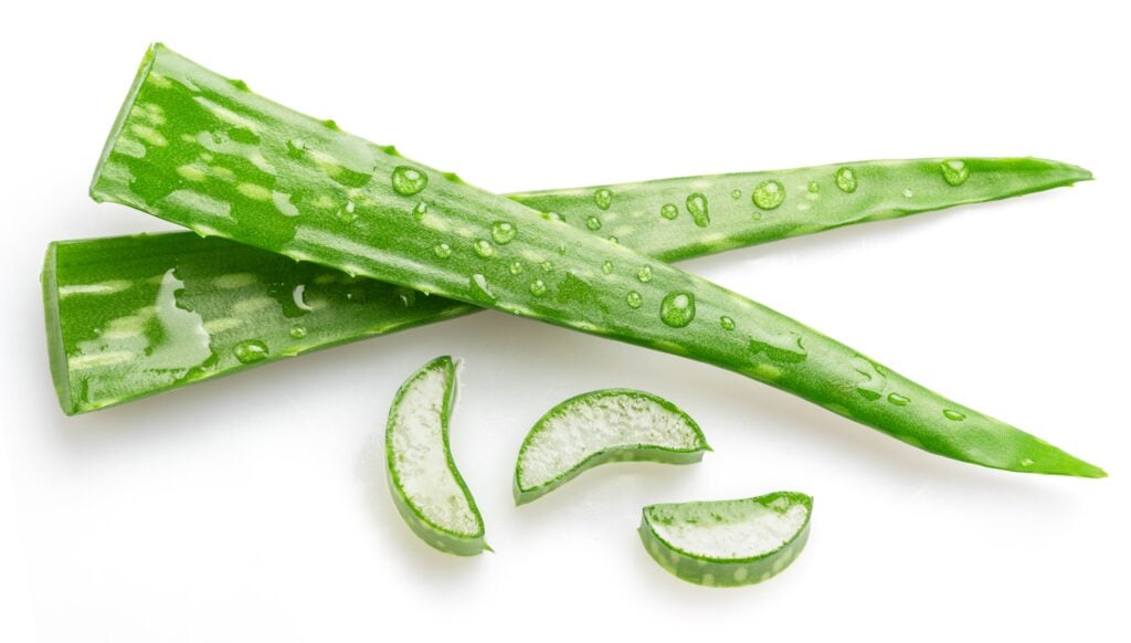 Beneficiile aloe vera pentru piele, păr și ten