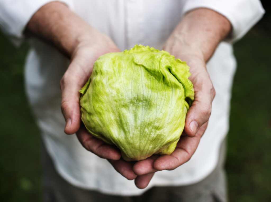 Legume potrivite pentru sezonul rece. Beneficiile lor